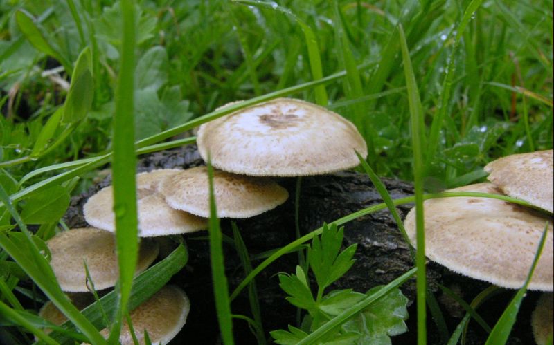 Escursione sotto il diluvio.